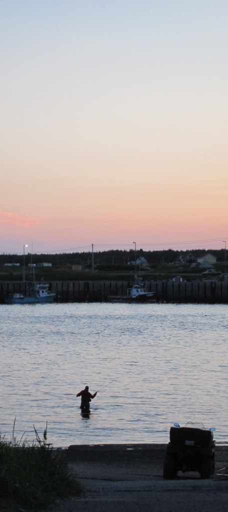 Je ne les connais pas, mais il y a des pêcheurs quasi chaque soir dans l'embouchure de la rivière.